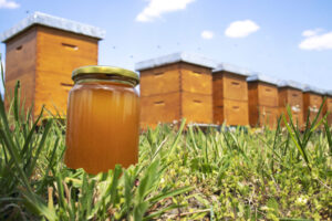 Honey jar and beehives on meadow in springtime.