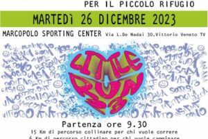 locandina little run