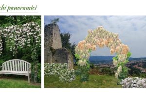 archi panoramici