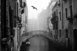 Immagine 2024-08-02 175438