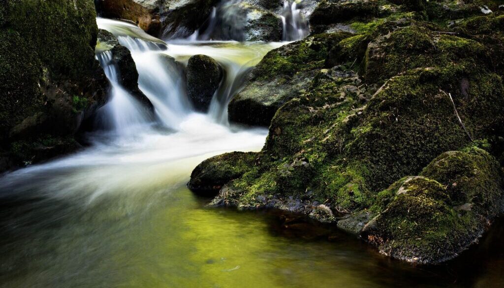 christian_birkholz-stream-204398_1920