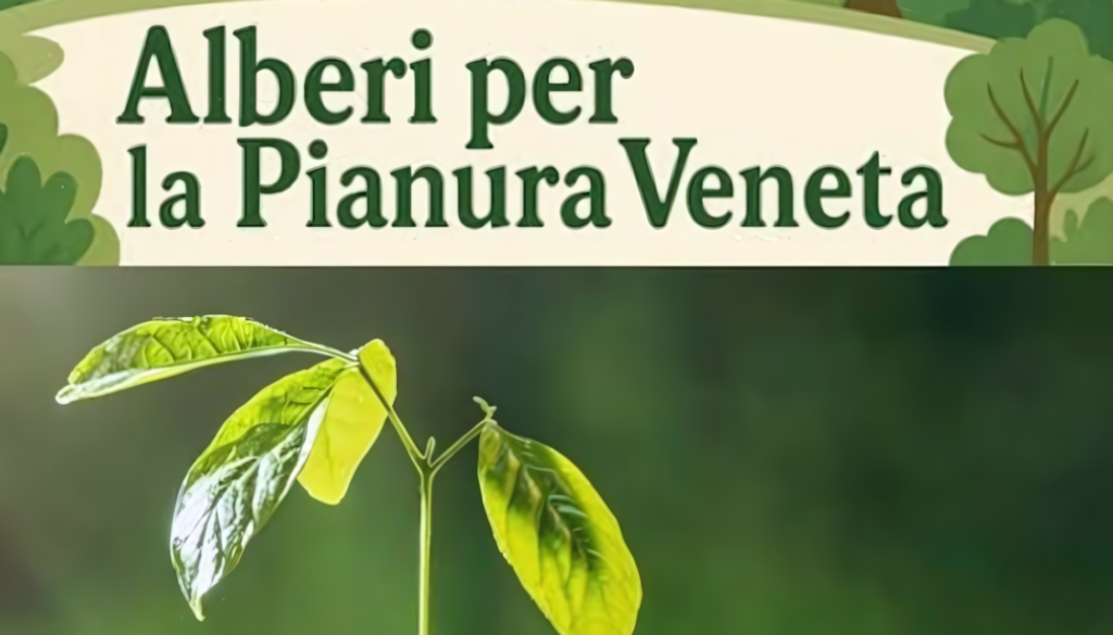 alberi_da_piantare_16.9